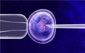 Phụ nữ độc thân có nguyện vọng sinh con sẽ được làm IVF từ 1/10