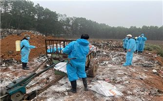 Thanh Hóa tiêu hủy hơn 18.000 con lợn do dịch bệnh
