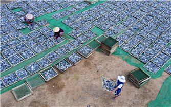 Cá cơm, cá nục vào mùa