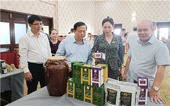 Gia Lai hướng đến mục tiêu có 800 hợp tác xã vào năm 2026