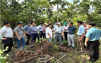 Gia Lai: Đầu tư hơn 1.200 tỷ đồng xây trường nội trú liên cấp ở 7 xã biên giới