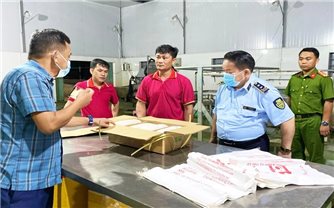 Gia Lai: Một lò giết mổ chứa hàng nghìn con heo đông lạnh không rõ nguồn gốc