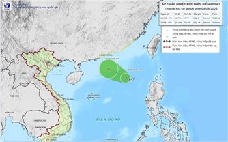 Cảnh báo khẩn: Áp thấp nhiệt đới gây gió giật cấp 8, đe doạ tàu thuyền