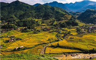 Óng ánh sắc vàng trên những thửa ruộng bậc thang