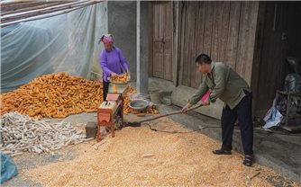 Dự án 8 góp phần thúc đẩy bình đẳng giới ở vùng cao Lào Cai