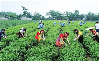Sửa đổi Luật Quy hoạch đô thị và nông thôn phù hợp với chính quyền địa phương 02 cấp