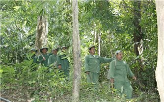 Nhận khoán bảo vệ rừng, đồng bào DTTS đổi đời