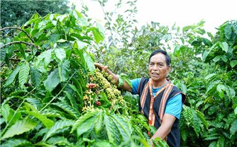 Người giúp đồng bào Gia Rai 
