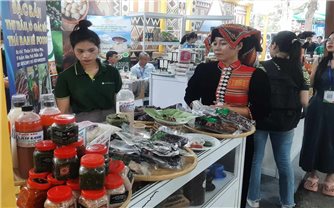 Cô gái Thái đưa hương vị Tây Bắc khởi nghiệp trên cao nguyên đất đỏ
