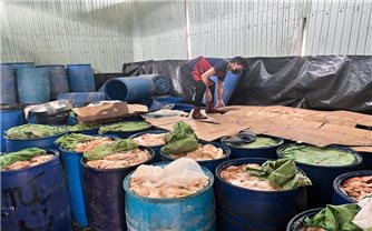 Gia Lai: Phát hiện nguyên liệu bốc mùi hôi thối tại cơ sở sản xuất lạp xưởng