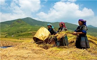 Thúc đẩy chính sách hỗ trợ tạo việc làm, giúp người lao động tiếp cận chính sách hỗ trợ hiệu quả