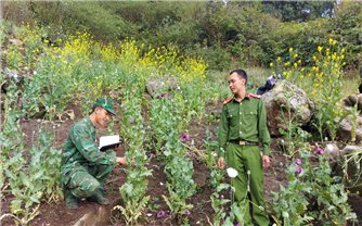 Lai Châu tập trung xây dựng “xã không ma túy”