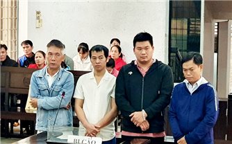 Đắk Lắk: Xét xử nhóm đối tượng sử dụng chất độc hại sản xuất giá đỗ