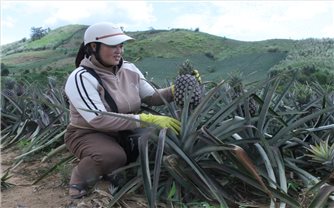 Vùng đất khó Cư Pui ấm no từ xây dựng 
