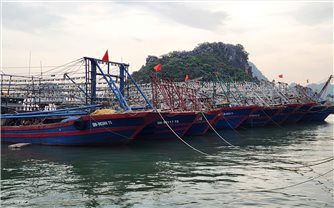 Quảng Ninh: Tạm dừng cấp phép tàu ra khơi từ 10 giờ ngày 24/9