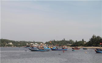 Quảng Ngãi cấm tàu thuyền ra biển từ chiều 27/9, khẩn trương triển khai ứng phó bão số 10