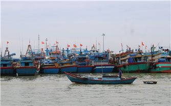 Gia Lai một tàu cá với 8 lao động bị mất liên lạc do ảnh hưởng của bão số 10
