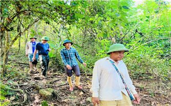 Chòng chành con chữ trên dòng Nậm Nơn