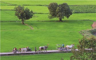 Chương trình Mục tiêu quốc gia: Tạo sinh kế cho đồng bào Khmer vùng Bảy Núi