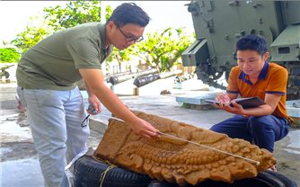 Gia Lai phát hiện phù điêu vị thần và sư tử tại tháp Dương Long