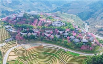 Tết này, nhà đã ấm