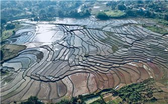 Vùng cao Nghệ An bước vào sản xuất vụ Đông - Xuân