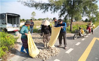 Củ kiệu được mùa, được giá - Nông dân Đà Nẵng đón Tết ấm