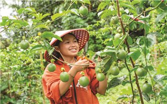 Nhiều mô hình “mở lối” sinh kế cho phụ nữ DTTS phát triển