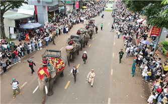Lễ hội sầu riêng Krông Pắc nâng quy mô cấp tỉnh