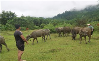 Đà Nẵng ưu tiên nguồn lực phát triển kinh tế - xã hội vùng đồng bào DTTS và miền núi