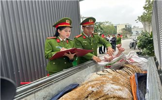 Khởi tố 2 đối tượng mua bán, tàng trữ hổ trái phép ở Thanh Hóa