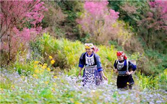 Diễn biến thời tiết những ngày Tết Nguyên đán Bính Ngọ 2026