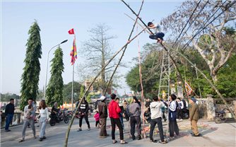 Cây đu ngày Tết ở quê nhà