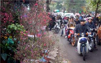 Không khí lạnh tăng cường, Bắc Bộ chuyển rét từ đêm mùng 1 đến mùng 3 Tết