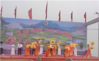 Nhiều hoạt động lễ hội, vui Xuân diễn ra trong những ngày đầu năm mới