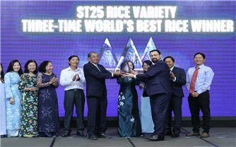 Gạo ST25 chính thức nhận cúp vinh danh Gạo ngon nhất thế giới lần thứ 3