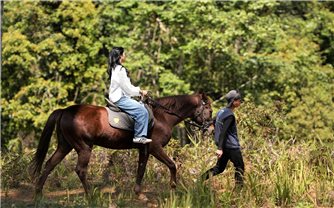 Du khách hào hứng cưỡi ngựa ngắm đại ngàn Măng Đen