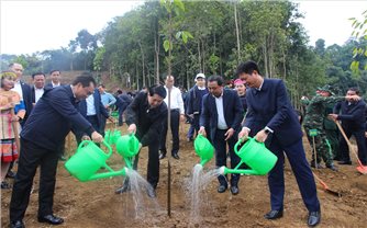 Chủ tịch nước Lương Cường dự Lễ phát động Tết trồng cây năm 2026 tại Lào Cai