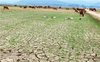 Năm 2026 có thể ít bão hơn, nhưng cần đề phòng các đợt nắng nóng kỷ lục