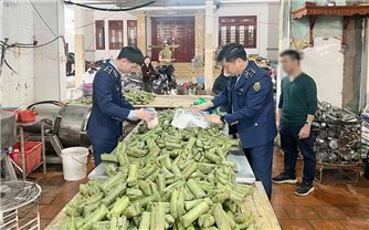 Khởi tố 2 đối tượng sản xuất giò chả chứa hàn the, thu giữ hơn 1,2 tấn thực phẩm