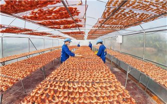 Làng nghề đặc sản miền Tây nhộn nhịp những ngày cận Tết