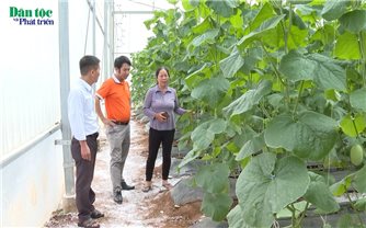 Những đảng viên tiên phong ở vùng cao