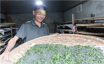 Làm giàu với nghề 