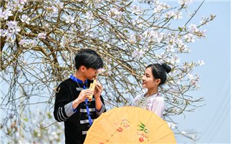 Mùa hoa ban và nhịp Xuân của núi rừng Tây Bắc