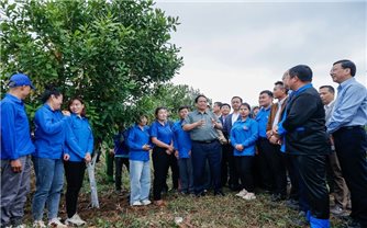 Thủ tướng Phạm Minh Chính: Cần biến núi rừng Tây Bắc trùng điệp thành của cải vật chất