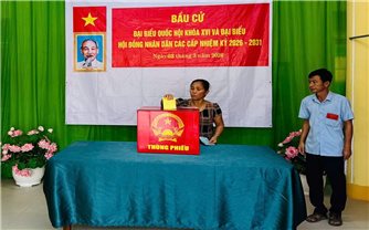 Cử tri đặc khu Thổ Châu náo nức đi bầu cử sớm