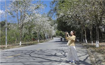 Tháng Ba ngẩn ngơ sắc trắng 