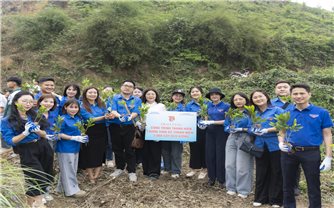 Tuổi trẻ Bộ Dân tộc và Tôn giáo sôi nổi ra quân Tháng Thanh niên năm 2026