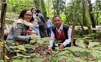 Đến năm 2035, tỉnh Quảng Ngãi trở thành vùng trồng dược liệu trọng điểm Quốc gia