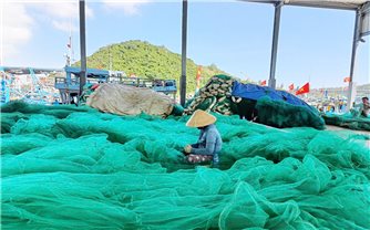 Gia Lai: Siết chặt quản lý tàu cá và hỗ trợ chuyển đổi nghề cho ngư dân